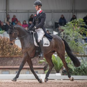 programme dressage