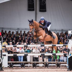 programme saut d'obstacles