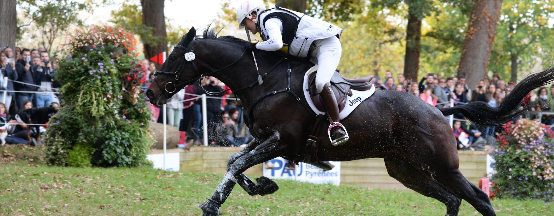 Compétiteur concours hippique des 5 Étoiles de Pau